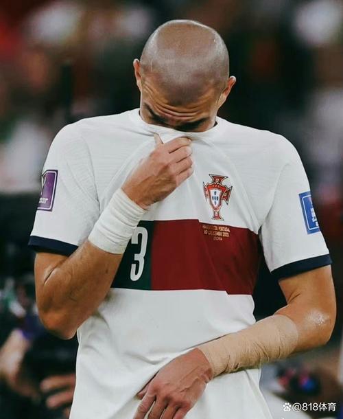 葡萄牙足协:佩佩手臂骨折的相关图片
